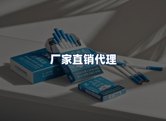 专业团队办公环境
